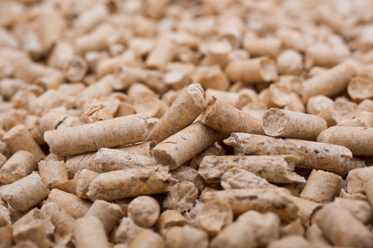 PELLET